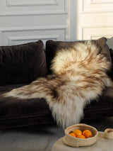 Mouflon
