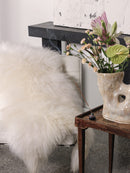 White icelandic sheepskin rug